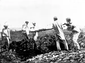 Mumbai Maharashtra India Prints: Scenes in Plague-Stricken Bombay: burying a poor man