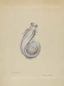 Blown Glass Prints: Scent Bottle, c. 1937. Creator: Anna Aloisi