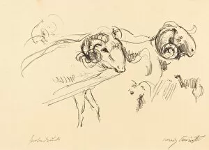 Horned Gallery: Schafböcke (Rams), 1912. Creator: Lovis Corinth