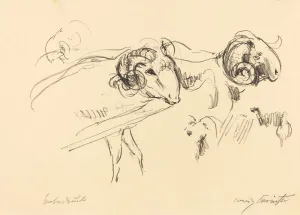Horned Prints: Schafbocke (Rams), 1912. Creator: Lovis Corinth