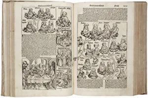 Schedels World History Prints: (from the Schedels Chronicle of the World)