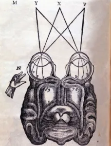 Schematic drawing on the functioning of the brain and human ocular system, engraving Schematic drawing on the functioning of the brain and human ocular system, engraving