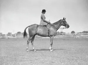 On Horseback Prints: Schey, Theresa, Miss, on horse, between 1911 and 1942. Creator: Arnold Genthe