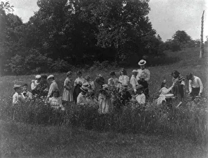 Field Trip Prints: School children examining wild flowers on field trip - 1st Division