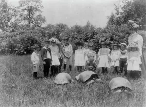 Terrapin Prints: School children and three terrapin