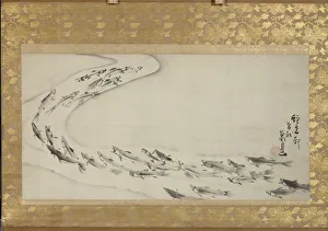 Swimming Gallery: School of Fish, 18th century. Creator: Soga Shohaku