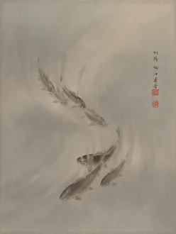 Album Lea Prints: School of Fishes, ca. 1890-92. Creator: Seki Shuko