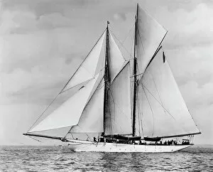 Images Dated 5th October 2018: The schooner Pampa. Creator: Kirk & Sons of Cowes
