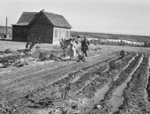 Furrows Prints: The Schroeder family, Dead Ox Flat, Malheur County, Oregon, 1939. Creator: Dorothea Lange