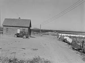 The Schroeder family's new house, Dead Ox Flat, Malheur County, Oregon, 1939. Creator: Dorothea Lange