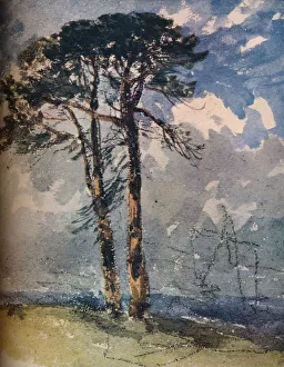 David The Elder Prints: Scotch Firs, 1805. Artist: David Cox the elder