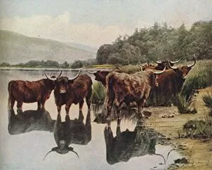 Reflection Collection: Scotland, c1930s. Artist: C Reid