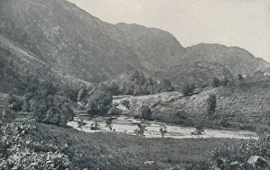 G W And Company Gallery: A Scottish Glen, 1910. Artist: GW Wilson and Company