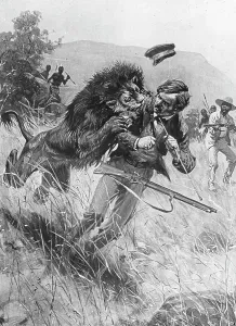 Livingstone Prints: Scottish missionary and explorer David Livingstone being attacked by a lion