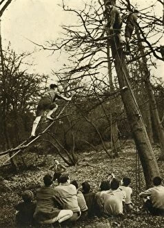Boy Scouts Association Gallery: Scouts Practising Pioneering, 1944. Creator: Unknown