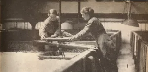 Pressure Prints: Screwing Down the Yeast in a Burton-On-Trent Brewery, c1916, (1935)