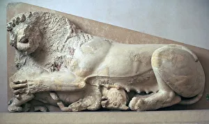 Parthenon Prints: Sculpture of a lioness devouring a bull, 6th century BC