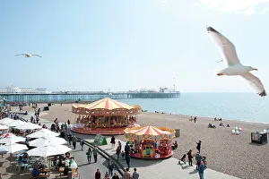 Seagull Prints: Sea Front at Brighton