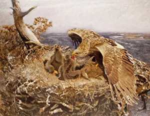 Bruno Anders Liljefors Prints: Sea Eagle's Nest, 1907. Creator: Bruno Liljefors
