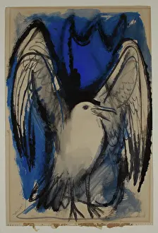 Laridae Prints: Sea Gull, c.between 1940 and 1950. Creator: Carlos Lopez