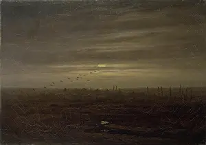 Shore Prints: Sea Shore (Fishing-Nets), 1835. Creator: Caspar David Friedrich