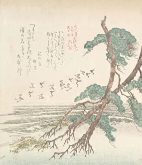 Cranes Gallery: Sea-Side Landscape with Pine Trees and Flying Cranes, 19th century. Creator: Kubo Shunman