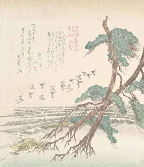 Shunman Kubo Prints: Sea-Side Landscape with Pine Trees and Flying Cranes, 19th century. Creator: Kubo Shunman
