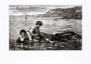 James Clarke Prints: Sea Urchins, 1872. Artist: James Clarke Hook