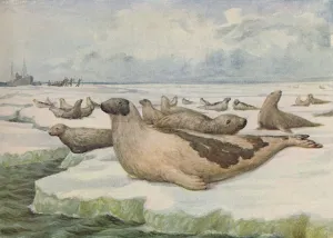 Newfoundland Prints: Seal-Hunting, Newfoundland, 1916. Artist: Lowther, C. G
