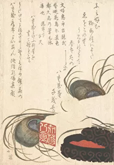 Calligraphy Set Gallery: Seal-stone and Seal-ink with Peacock Feathers, from Spring Rain Surimono Album (H