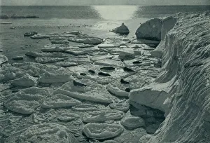 Seals Basking on Newly Formed Pancake Ice Off Cape Evans, c1910-1913, (1913)