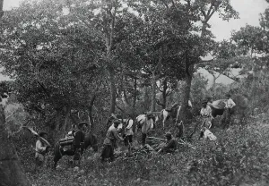 Prospecting Prints: A search party of 7 people on Askold Island, 1865-1871. Creator: VV Lanin