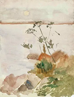 Seashore in the Moonlight, c1890s. Creator: Albert Edelfelt
