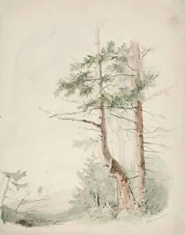 Anders Ekman Prints: Seaside Landscape Nagu-Hafverö-Norrby, 1853. Creator: Karl Anders Ekman