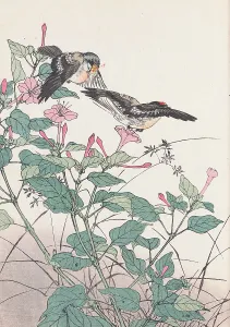 Keinen Prints: The Four Seasons Bird and Flower Albums (Keinen Kacho Gafu)
