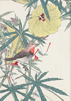 Keinen Prints: The Four Seasons Bird and Flower Albums (Keinen Kacho Gafu)