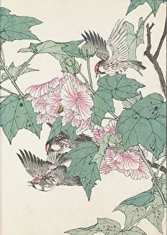 The Four Seasons Bird and Flower Albums (Keinen Kacho Gafu), 1891-1892. Creator: Keinen, Imao (1845-1924)