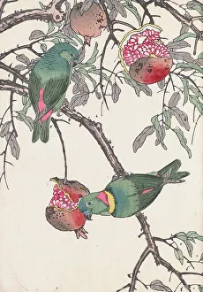 The Four Seasons Bird and Flower Albums (Keinen Kacho Gafu), 1891-1892. Creator: Keinen, Imao (1845-1924)