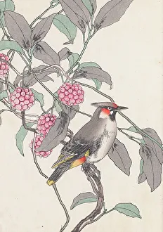 Keinen Prints: The Four Seasons Bird and Flower Albums (Keinen Kacho Gafu)