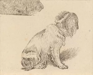Cornelis Ploos Van Amstel Collection: Seated Dog, 1777. Creator: Cornelis Brouwer