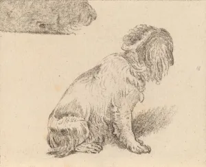 Mieris Frans Van Prints: Seated Dog, 1777. Creator: Cornelis Brouwer