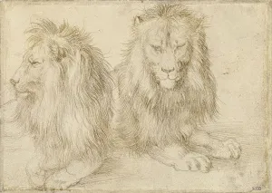 Two seated lions, 1521. Artist: Durer, Albrecht (1471-1528)