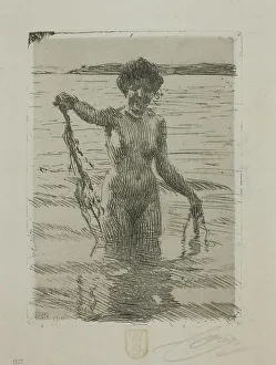 Seaweed Prints: Seaweed, 1910. Creator: Anders Leonard Zorn