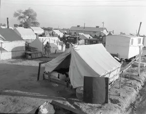 Tent City Prints: Section of Kern migrant camp, California, 1936. Creator: Dorothea Lange