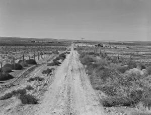 Lonely Gallery: Section of lone road approaching the Schroeder place, Dead Ox Flat, Malheur County, Oregon, 1939