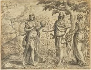 Antwerp Collection: The Seed Received Among the Thorns, from the Parable of the Sower, c. 1573. Creator