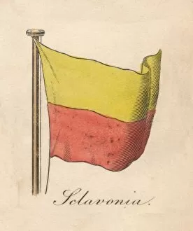 Bicolour Gallery: Selavonia, 1838
