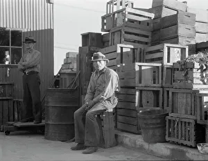 Resettlement Prints: Self-help cooperative, Burbank, California, 1936. Creator: Dorothea Lange
