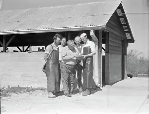 Aprons Prints: Self-help cooperative dairy, near Santa Ana, California, 1936. Creator: Dorothea Lange