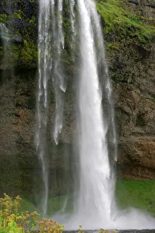 Tom Artin Prints: Seljalandfoss Falls A, Iceland. Creator: Tom Artin
